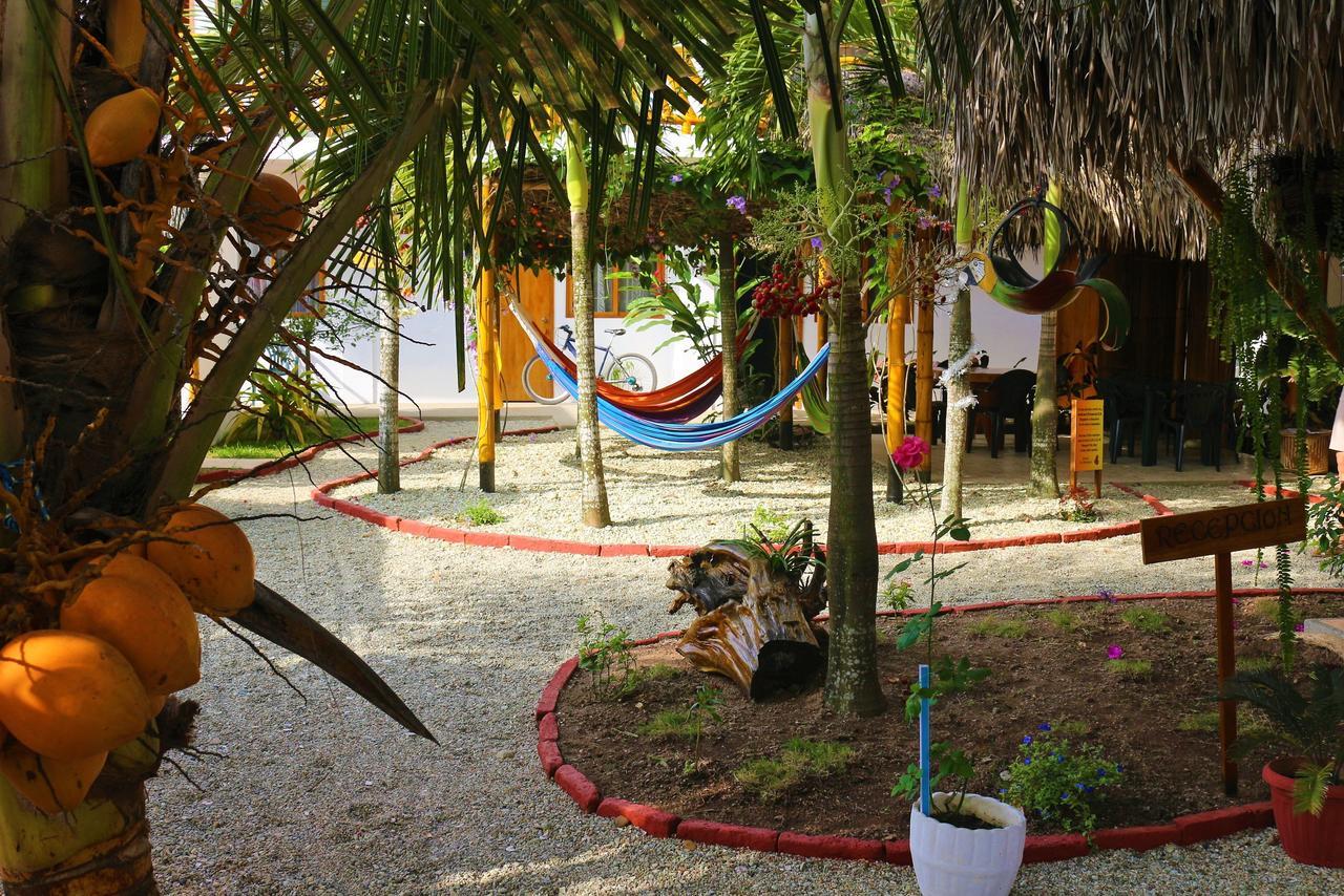 Olón La Mariposa Hostal المظهر الخارجي الصورة