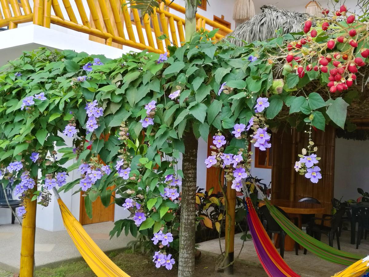 Olón La Mariposa Hostal المظهر الخارجي الصورة